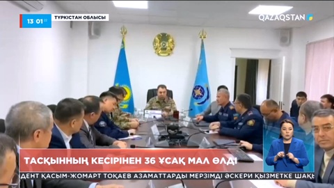 Түркістан облысында тасқынның кесірінен 36 ұсақ мал өлді
