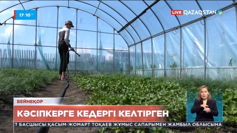 Солтүстік Қазақстанда мемлекеттік орган бизнеске кедергі келтірген