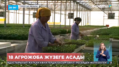 Түркістан облысында 18 агрожоба жүзеге асады