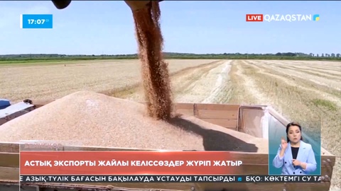 Женевада Украина астығының экспорты жайлы келіссөздер жүріп жатыр