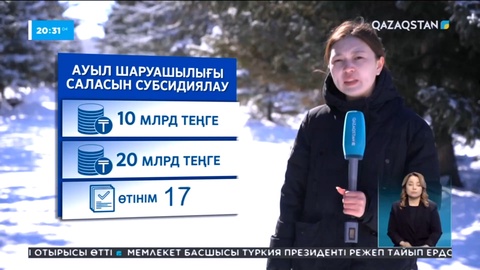 Ақмола облысында 200-ден астам шаруашылық субсидия ала алмай отыр