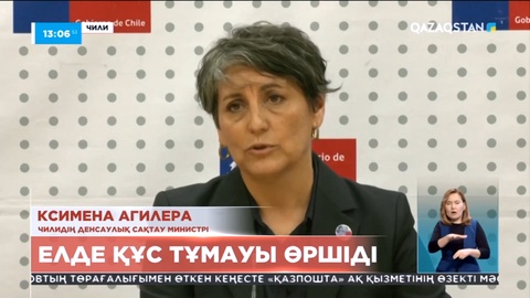 Чилиде құс тұмауы өршіді