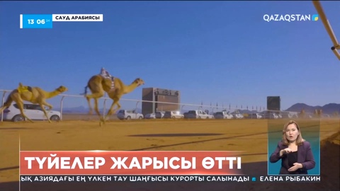 Сауд Арабиясында түйелер жарысы өтті