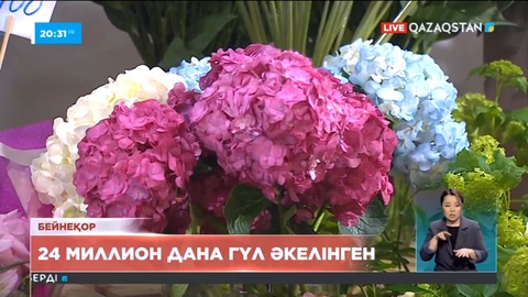 Қаңтар-ақпан айларында Қазақстанға 24 млн дана гүл шеттен әкелінген