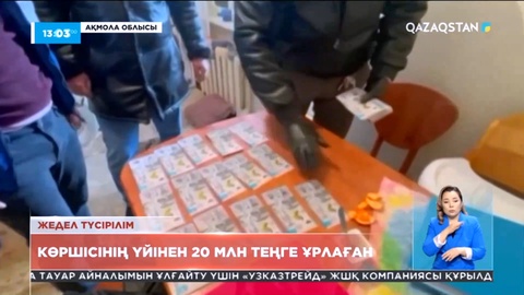 Ақмола облысының тұрғыны көршісінің 20 млн теңгесін ұрлап кеткен