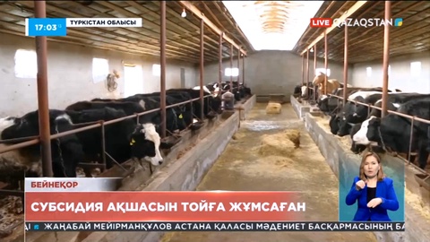 Түркістан облысында шаруалар субсидия қаржысын тойға жұмсаған