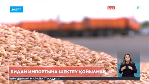 Қазақстан бидай импортына шектеу қоймақшы