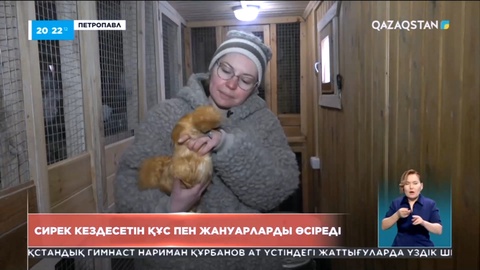 Петропавл тұрғыны сирек кездесетін құс пен жануарларды өсіреді