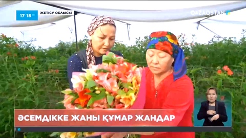 Жетісу облысының тұрғыны Перу лалагүлін жерсіндірді