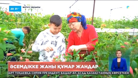 Әсемдікке жаны құмар жандар