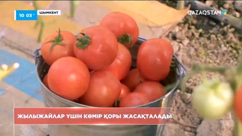 Жылыжайлар үшін көмір қоры жасақталады