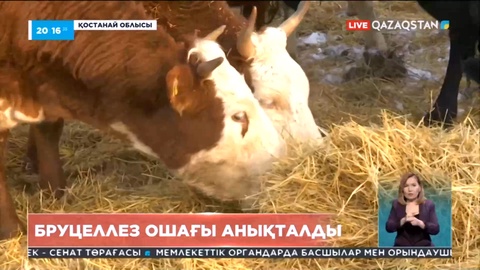 ШҚО-да үш ауылда карантин жарияланды