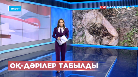 Жетісу облысында оқ-дәрілер жасырылған темір контейнер табылды