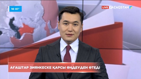 Алматыдағы ағаштар зиянкестерге қарсы өңдеуден өтеді