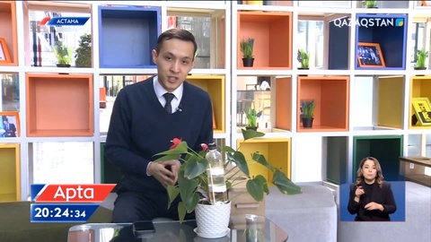 Астанада су тапшылығы сезіле бастады