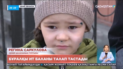 Семейде бұралқы ит баланы талап тастады