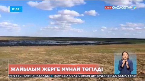 Атырау облысында жайылым жерде мұнай төгіліп жатыр