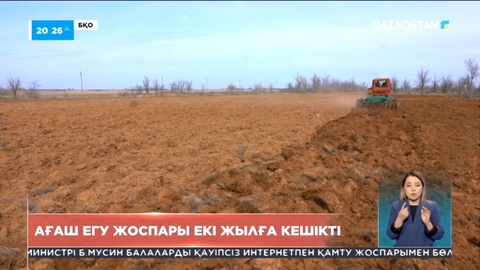 БҚО-да 2 млрд түп ағаш егу туралы тапсырмасы қайта екі жылға кешігіп жатыр