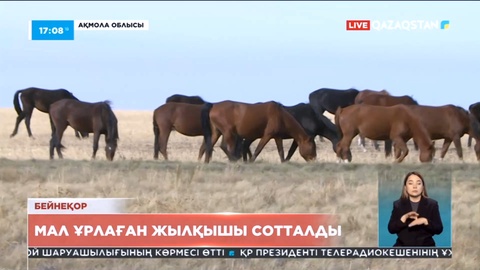 Ақмола облысыда мал ұрлаған жылқышы 7 жылға сотталды