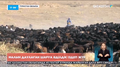 Түркістан облысында малын даулаған шаруа әділдік іздеп жүр