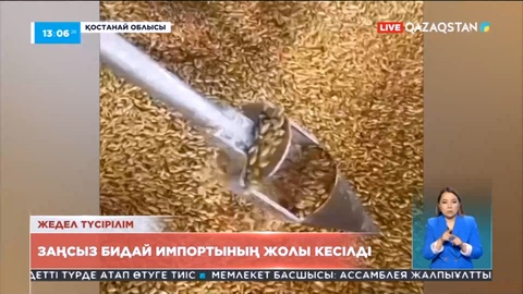 Қостанай облысында заңсыз бидай импортының жолы кесілді
