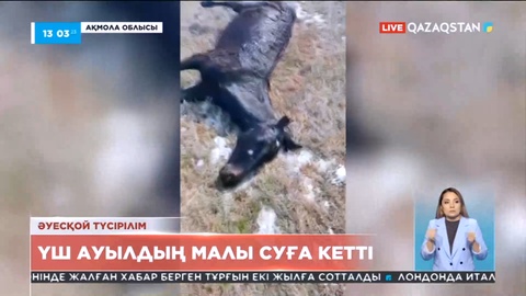 Ақмола облысында үш ауылдың малы суға кетті