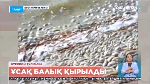Қостанай облысында ұсақ балық қырылды