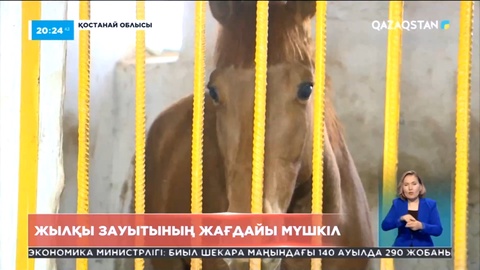 Қостанайдағы 135 жылдық тарихы бар асыл тұқымды жылқы зауытының жағдайы мүшкіл