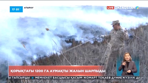 Атырау облысындағы қорықтың 1200 га аумағын жалын шарпыды