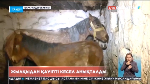 Қарағанды облысында жылқыдан қауіпті кесел анықталды