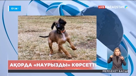 Ақорда «Наурызды» көрсетті