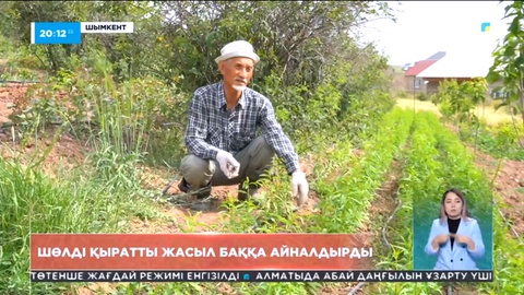 Шымкенттік қария ағын су бармайтын шөлді қыратты жасыл баққа айналдырған