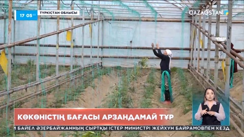 Елімізде көкөніс қоймалары жетіспейді