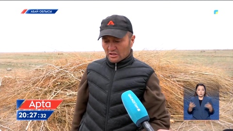 Жыл соңына дейін 5 млн гектар жер мемлекет меншігіне қайтарылады - министр