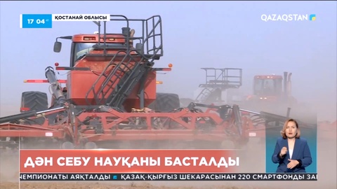 Қостанай облысында дән себу жұмыстары басталды