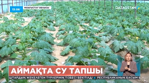 Маңғыстауда ауыл шаруашылығын дамытуға су тапшы