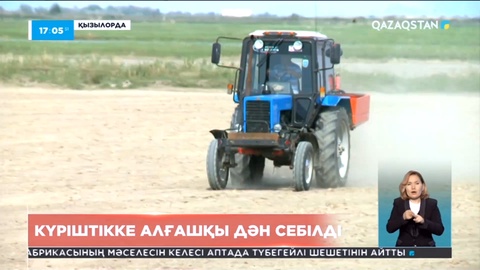Қызылорда облысында күріш егу науқаны басталды
