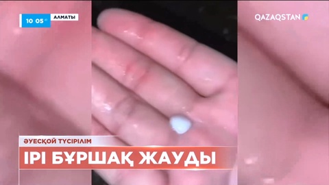 Алматыда ірі бұршақ жауды