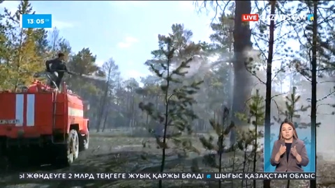 Абай облысының орманында өрт сөндіру әлі жалғасып жатыр