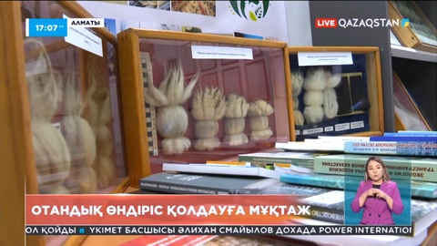 Елімізде аграрлық өнімдер көлемін 40 пайызға арттыруға мүмкіндік бар
