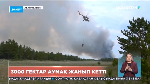 Абай облысында орман өрті әлі дес бермей тұр