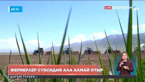 Өңірлерде фермерлерге субсидиялардың 50 пайызы ғана төленген