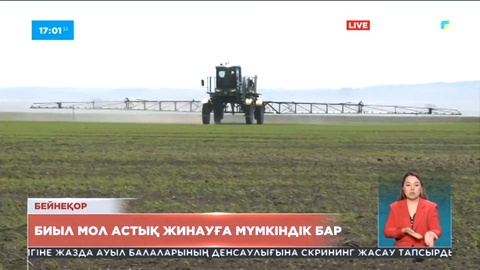 Елімізде биыл мол астық жинауға мүмкіндік бар