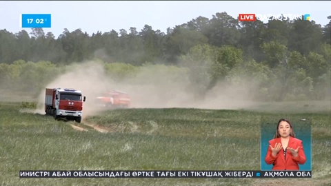 Абай облысындағы орман өрті бүгін басылды