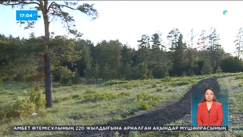 Қазақстан қорықтары орман өртін анықтайтын ақылды жүйелерді қолдана бастады