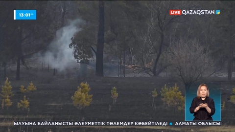 Абай облысындағы орман өрті толық сөндірілді