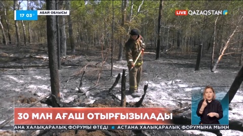 Абай облысында 30 млн ағаш отырғызылады