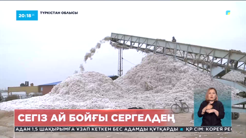 Түркістан облысында мақташылар күзде өткізген өнімдерінің ақшасын ала алмай жүр