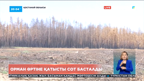 Қостанай облысында орман өртіне қатысты сот басталды