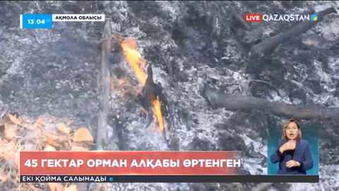 Ақмола облысында жаз басталмай жатып 10 орман өрті тіркелді